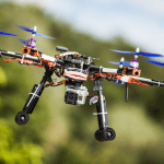 Terra Verão 2026: Saúde, Bem-Estar e Entretenimento Acessíveis para Toda a Comunidade